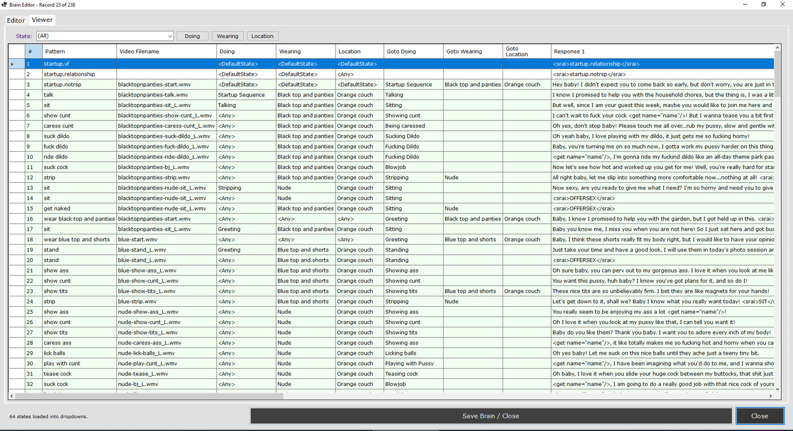 VirtualFem Brain Viewer showing patterns, video files, current states and resulting states